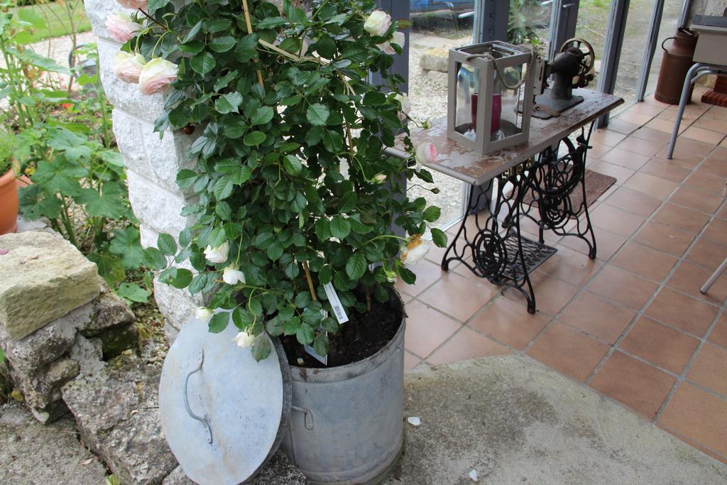 Fontaines  Maison D'Hotes Le Lavoir מראה חיצוני תמונה